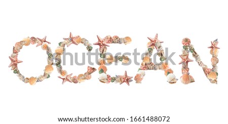 "Ocean" seashells word art on white background