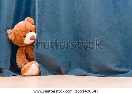 Kids toy brown funny Teddy bear peeks out from behind the blue curtain. stay at home, concept of self quarantine at home as preventative measure against virus outbreak. Copy space