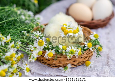 Easter card with a chicken child in a wreath of daisies midi in a basket-nest on a wooden white table. Happy Easter celebration concept.