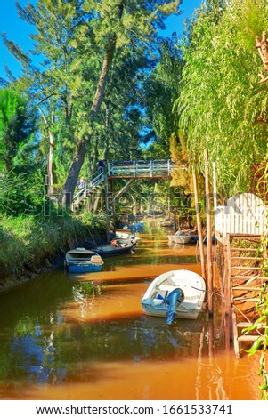 Lush vegetation, motor boats and old wooden pier. Tigre delta in Argentina, canals and river system of the Parana Delta North from the capital, Buenos Aires.