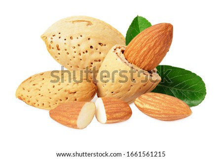 almonds with green leaves isolated on white background