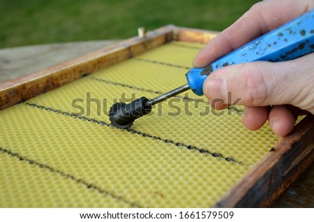melting of wax plates, which the bees convert to honeycombs and put larvae into it, or deposit pollen or honey. This work is the beekeeper's main in winter