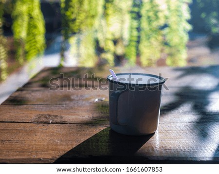 The Water Vapor on Top of  The Coffee Cup behind The Fern Hanging in The Back