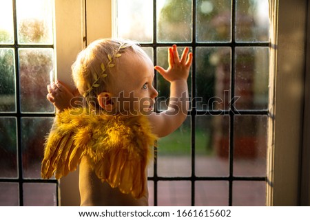 Angel wings baby boy portrait with selevtive focus. Baby boy waering golden wings and a golden leaf headband stading in front of the leaded glass door with  ahead turned right profile. Afternoon