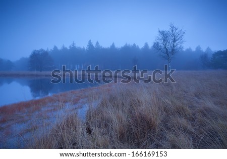 misty tranquil weather on wild lake, Duurswoude, Friesland, Netherlands