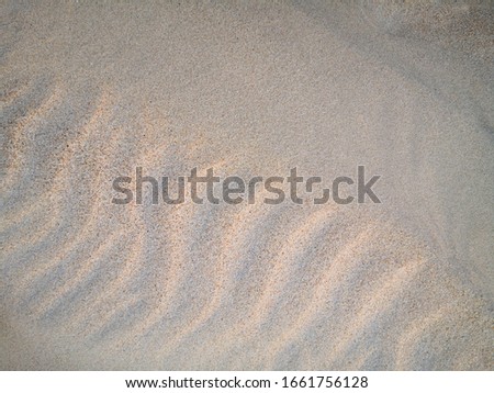 Background from sea sand. Texture of beige sand.