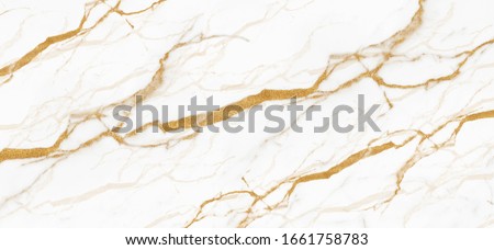 carrara statuarietto white marble. white carrara statuario texture of marble. calacatta glossy marbel with golden streaks. Thassos satvario tiles. italian bianco, blanco catedra texture of stone.