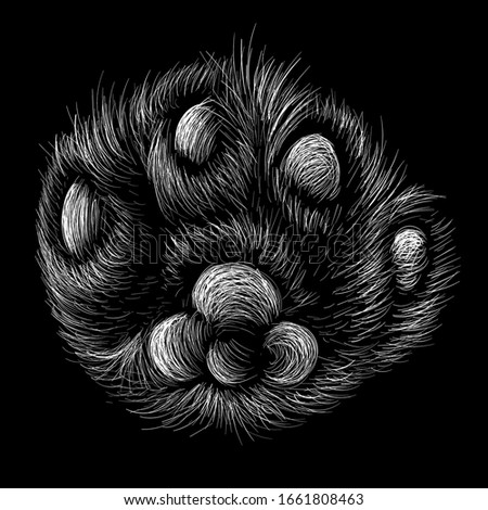 The Vector logo paw for T-shirt design or outwear. This drawing would be nice to make on the black fabric or canvas