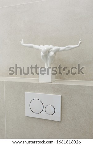 Economic toilet white flush press with two separate buttons for flushing toilet. Shelf with statuette. Vertically framed shot.