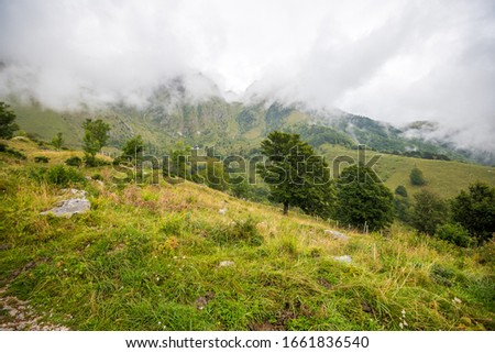 Mountain cottage hut or house on idyllic hill Velika Planina, Slovenia Alps. Bio  farming healthy life.