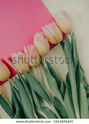 vintage bouquet of pastel color tulips on pink and yellow background with copy space, spring or summer holidays greeting card