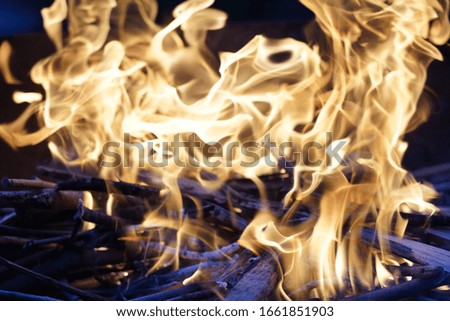 Wild fire on a barbeque