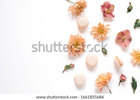 Flower pattern, macaroons on white background with copy space. Woman Day background.