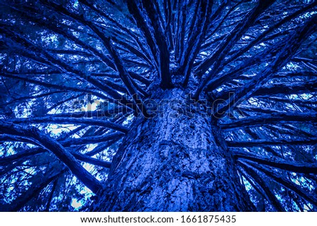Calming Blue Dusk Color Nature Background Texture