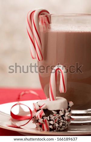 Hot chocolate with candy canes and marshmallow on a plate with ribbon