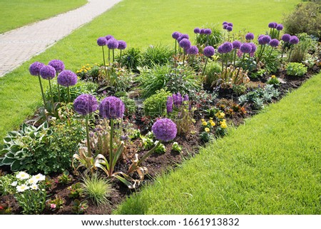 summer flower bed with alliums, green meadow and walkway in the park Royalty-Free Stock Photo #1661913832