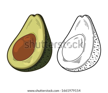 Vector illustration of avocado on a white background.Organic vegetarian product. Avocado symbols set applicable for restaurant menu or packaging, label, poster, print. Food graphic etching design.