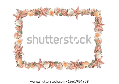 Seashells framework. Clip art on white background