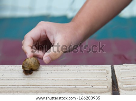 Picking up a snail