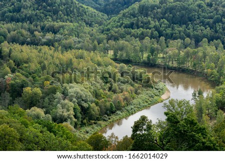 Bird's eye view of mighty forest on rainy day and river. Europian mixed wood 