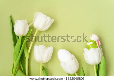 Flowers composition. Delicate white tulip flowers on green background. Easter day, springtime concept. Flat lay, top view, copy space 