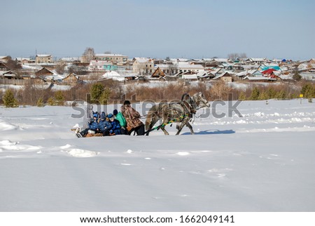 Horse rides children on a sleigh in winter.
