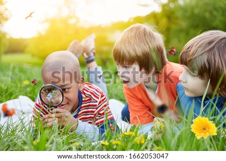 Three children together play a naturalist with magnifying glass in the garden and explore insects Royalty-Free Stock Photo #1662053047