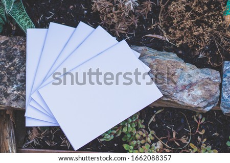 Photo of Blank Magazine Or Brochure or book Cover Isolated On the ground with plants and rocks.