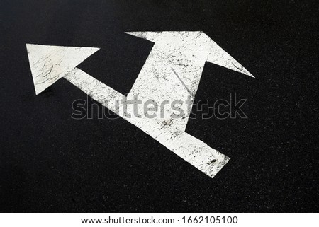 Road marking lines. Go straight and turn arrows on the asphalt surface.