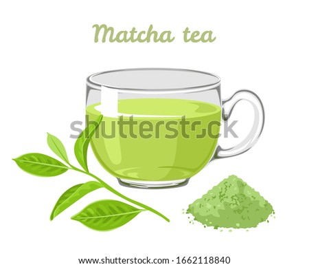 Matcha tea in glass cup isolated on white background. Vector illustration of green tea leaf, powder and fragrant drink in cartoon flat style.
