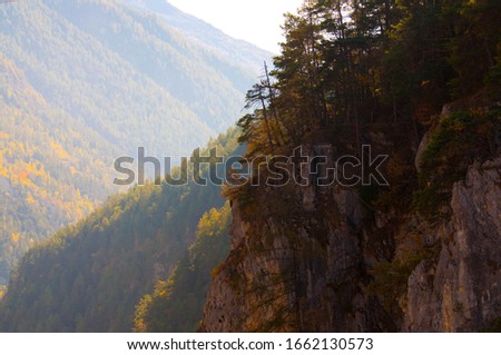 Valley with mountains and forest in Spring, Switzerland Vallis