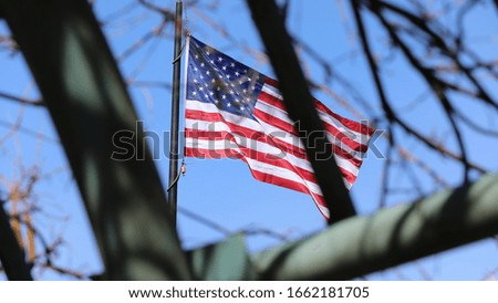 American Flag with Trees and Blue Sky