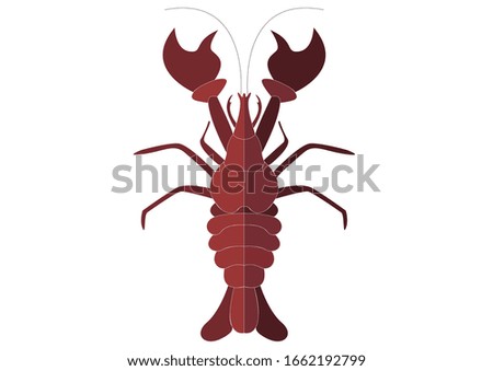 Red big lobster on white empty background