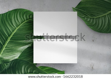 Minimal business card mockup. Concrete background with green leaf and window shadow.