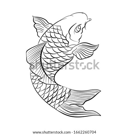 Hand drawn koi fish. Japanese carp line drawing for coloring book. Doodle 4