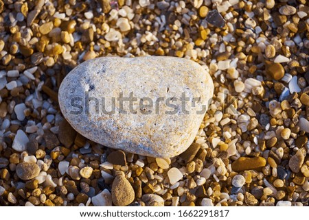 stones on the sand of the seashore