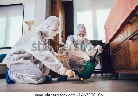 Specialists in protective suits do disinfection or pest control in the apartment.