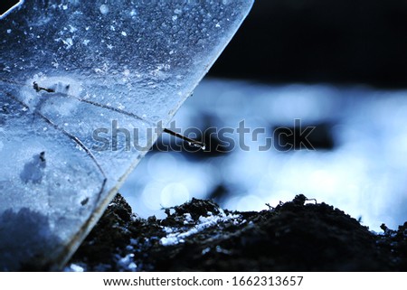
Piece of ice in morning light.