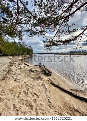 Baltic Sea autumn coast beach Carnikava Gauja river Latvia