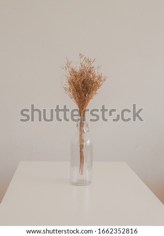 Dried flowers in clear glass bottles Placed on a white table for text