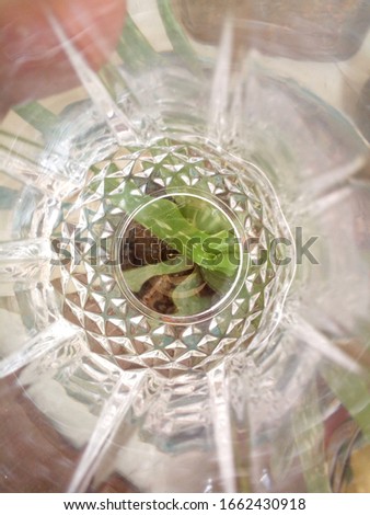 Beautiful glass fiction picture created
