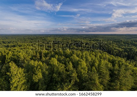 Beautiful green nature landscape of Europe