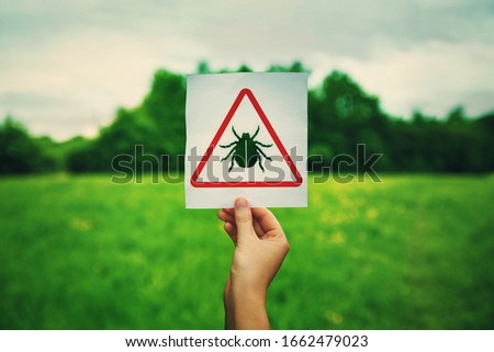 Hand holding a warning sign for ticks parasite danger over the park green lawn background. Different bug bites, health risk, causes infections, lyme disease and needs urgent medical treatment.