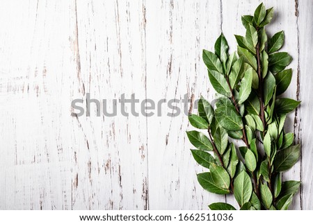 bay leaves on a light wooden background, top view, place for text. Flat lay, copy space