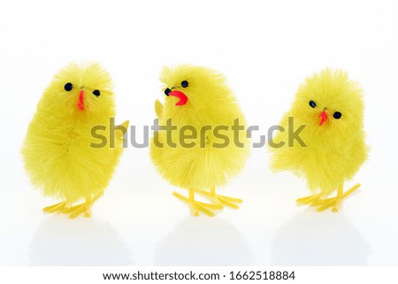 Yellow chicks for Easter on a white background