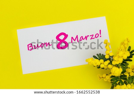 8 March pink text in Italian on white paper with yellow mimosa flowers bouquet. Spring holiday floral card with bunch of flower. Greeting card  for International Women's Day. Acacia dealbata bloom