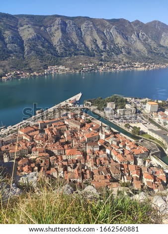 panorama of the boka kotor bay and the old town of kotor cats