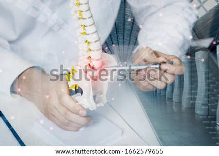 Doctor shows problems between the vertebrae on a blurred background.