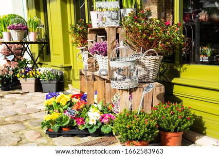 Outside typical French flowers shop. France. Spring gardening season - colorful primroses, heather, pansies, hyacinths and other plants in cute pots and boxes for garden. 