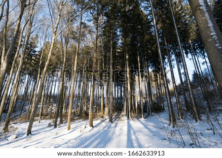 Impressions from a beautiful snowy winter wonderland forest with sun rays